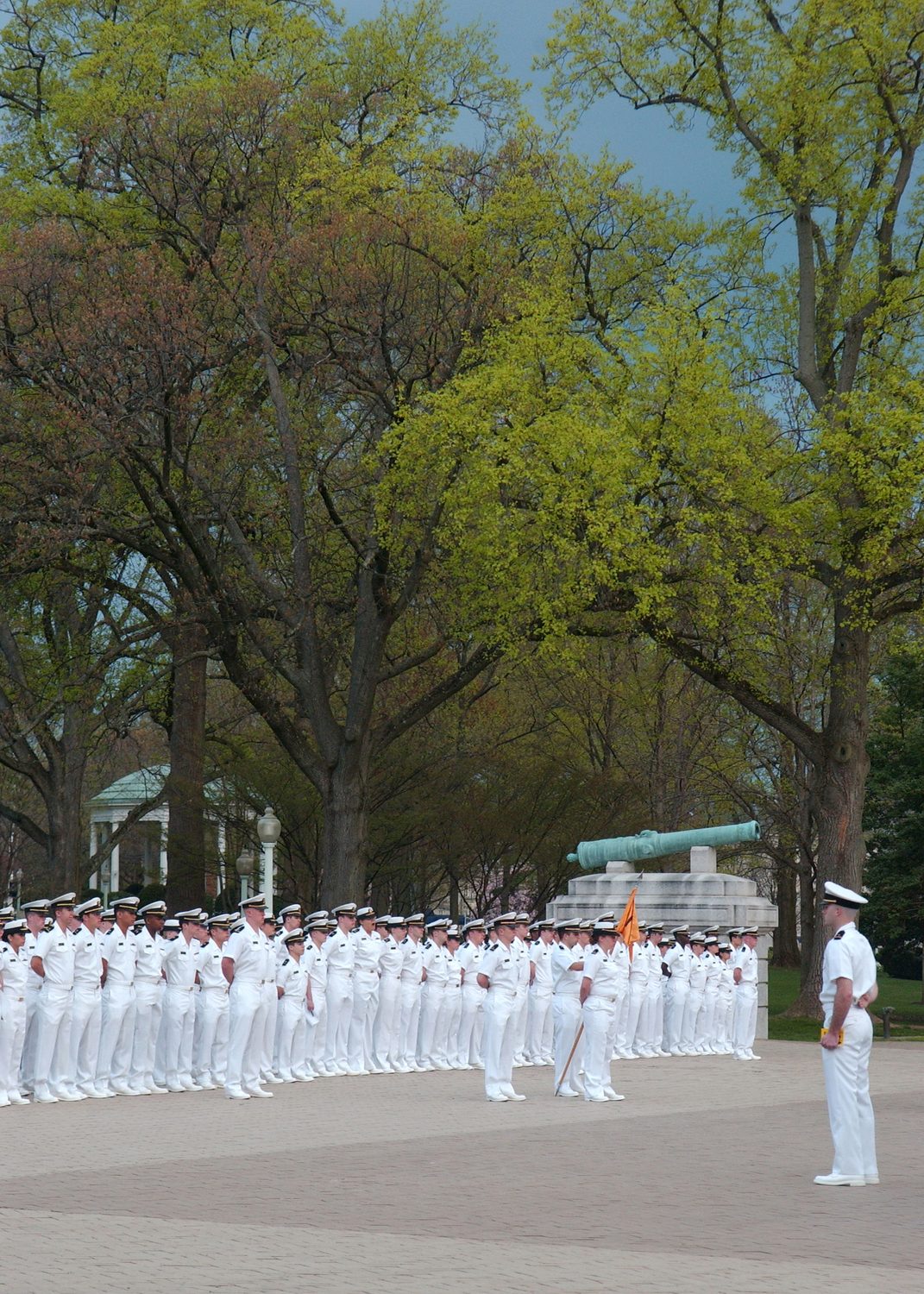 Midshipmen stand in formation in dress whites under spring trees at the U.S. Naval Academy.